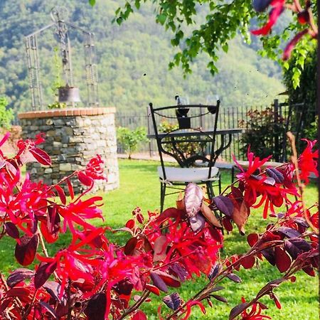 Green House Pieve di Teco 外观 照片