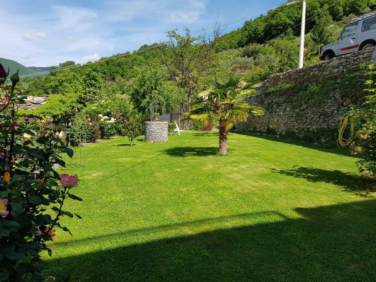 Green House Pieve di Teco 外观 照片