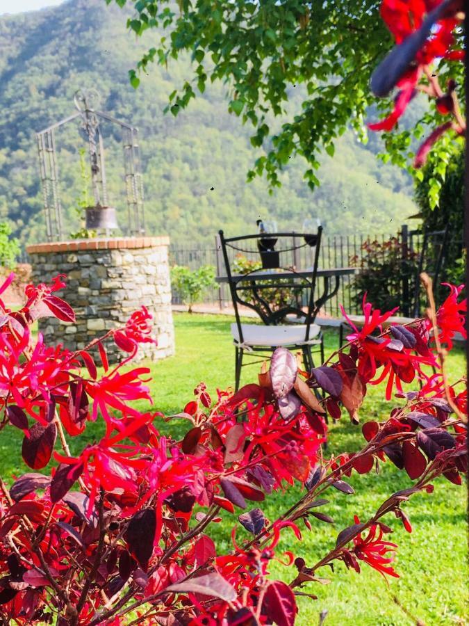 Green House Pieve di Teco 外观 照片